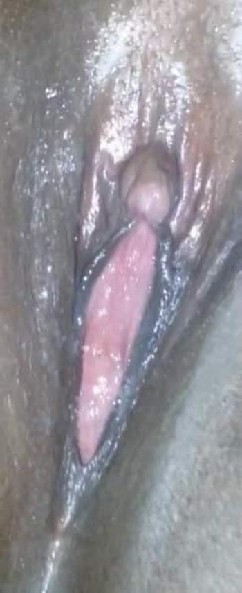 6012072619, female escort, Meridian